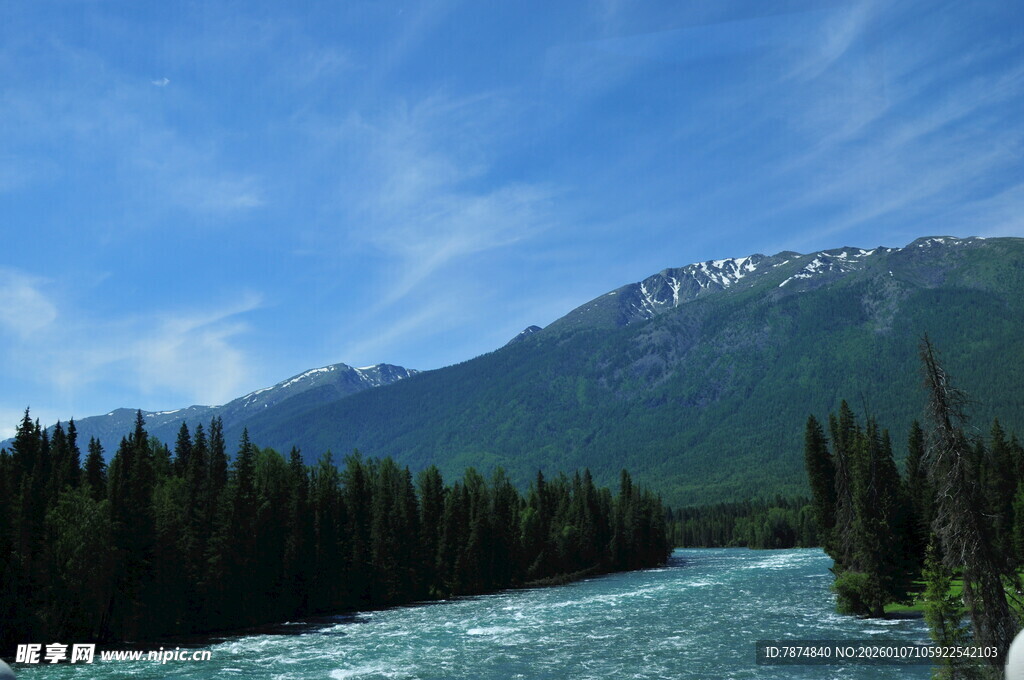 山间河流与葱郁林木景观