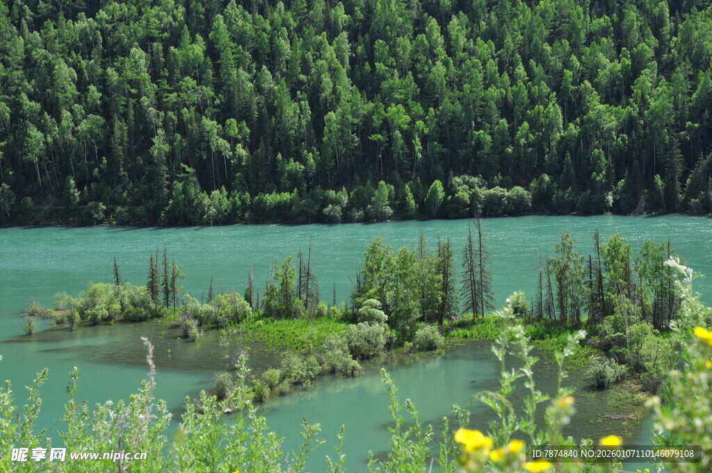 湖畔绿野繁花迷人风光