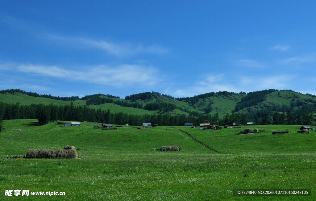 广袤绿野中的田园风光