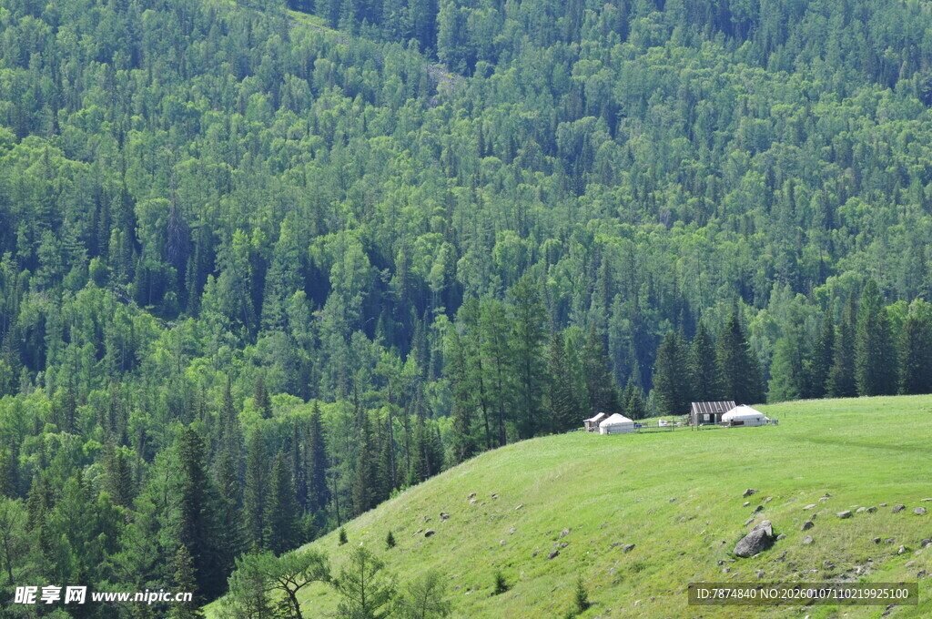 山坡绿野间的静谧风光
