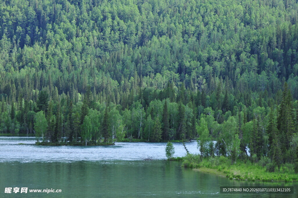 湖畔葱郁森林美景