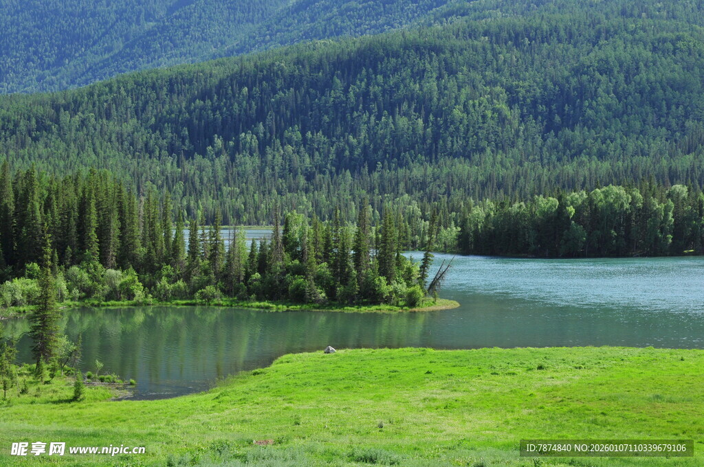 湖畔绿野山林美景