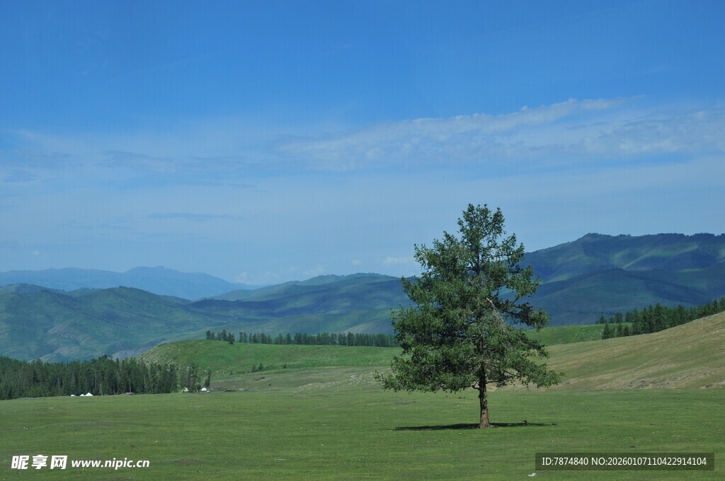 草原孤树 远山蓝天美景