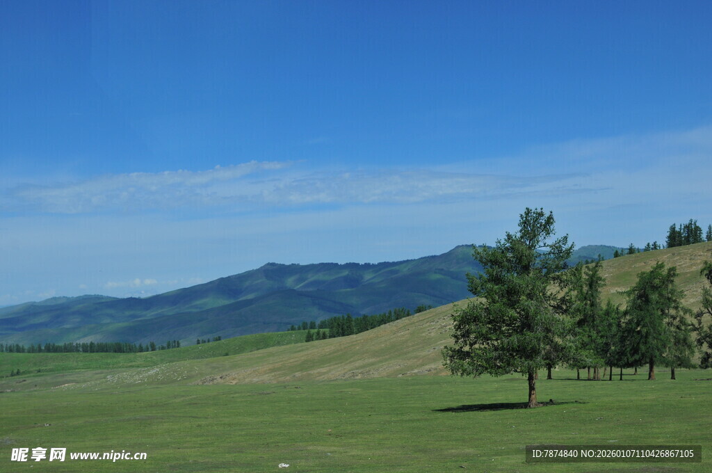 草原风光与树木