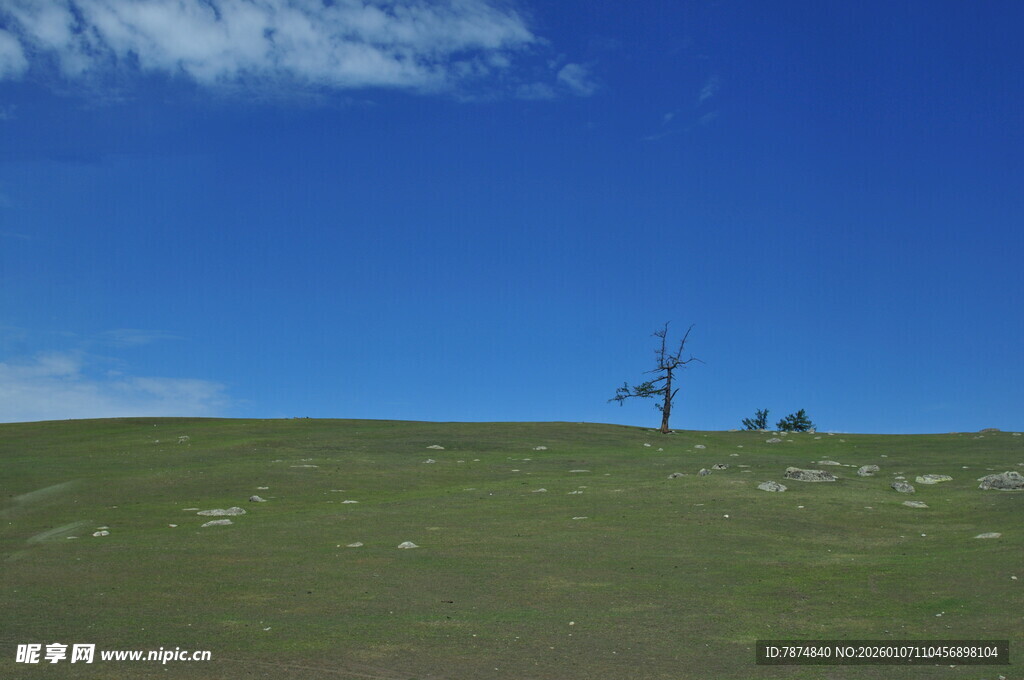 草原上的电力设施与蓝天