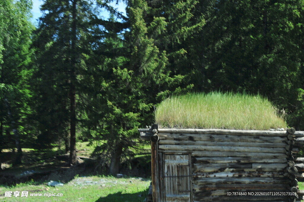 木屋顶的绿意盎然