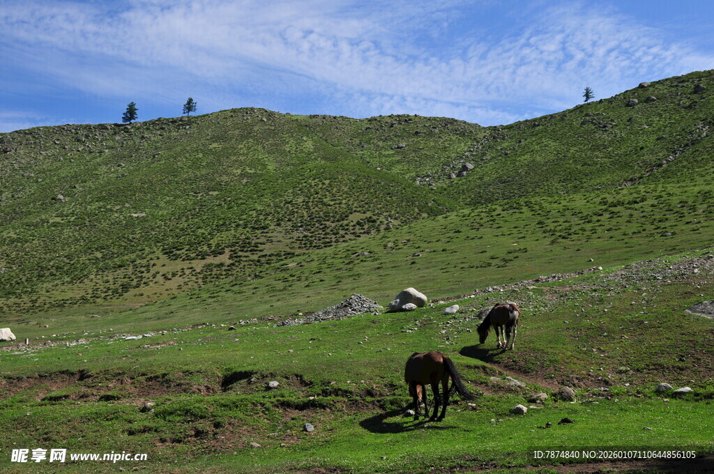 草原上的劳作场景