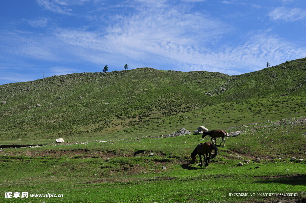 山地摩托飞跃绿色山坡