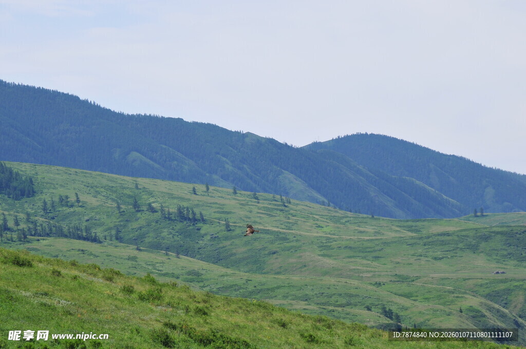 青山绿野间的秀丽风光