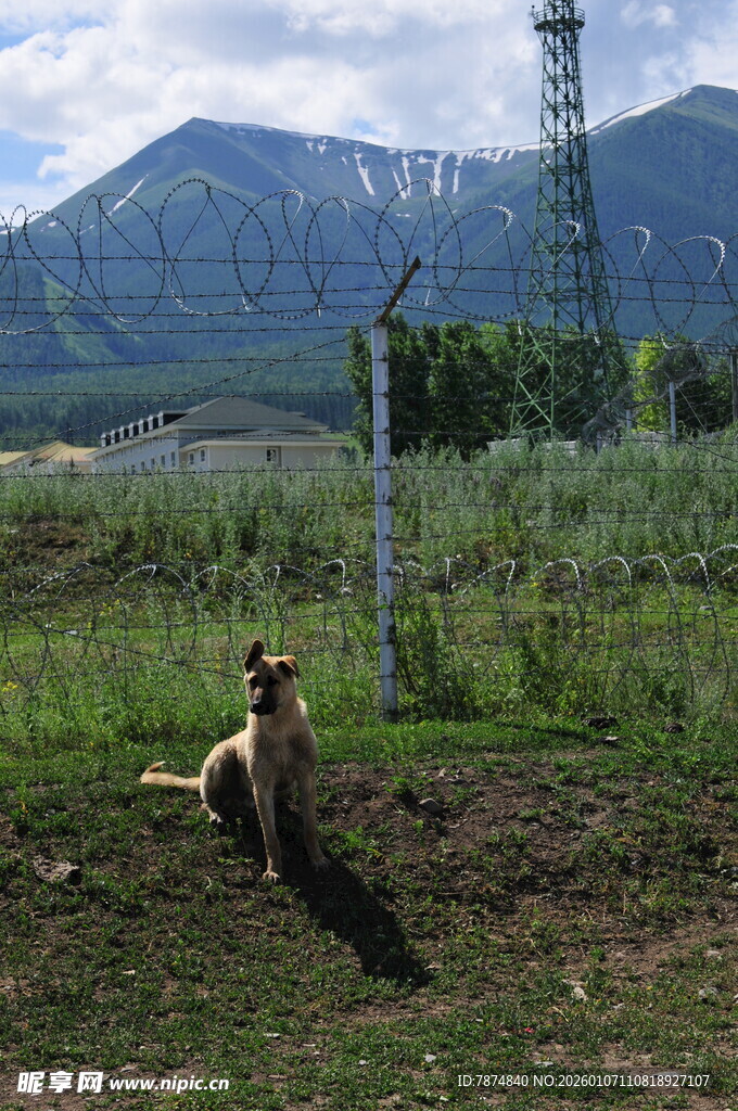 草原上的人犬与远山风景