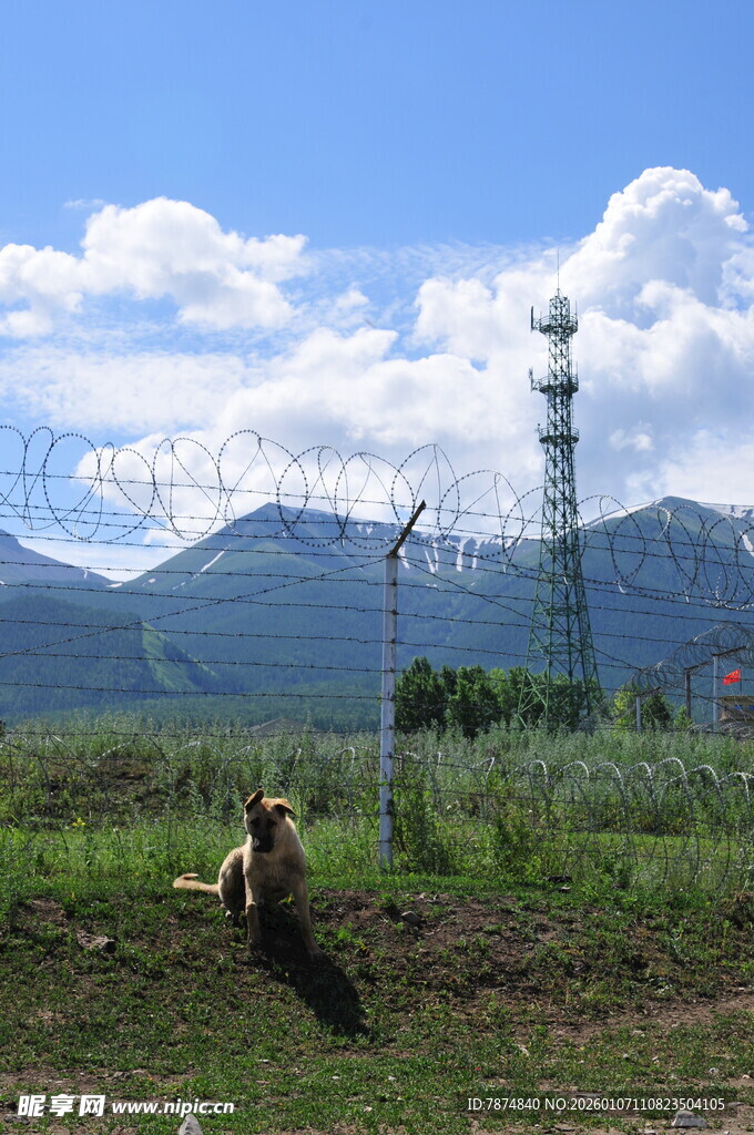 田野中的通信塔与劳动者