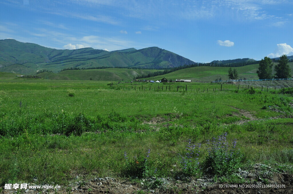 广袤绿野与远山美景