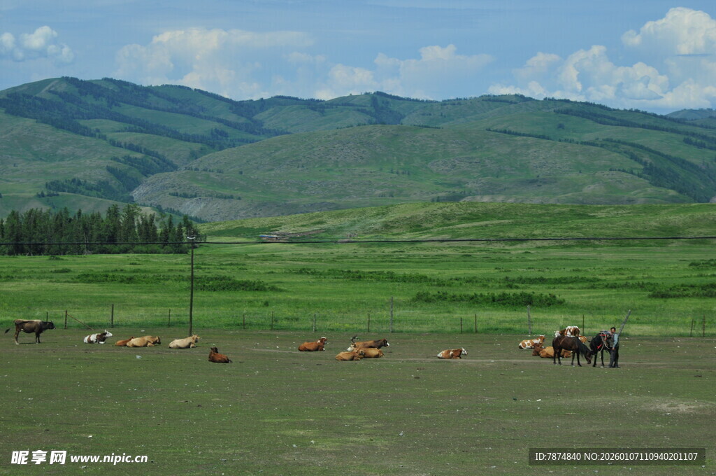 草原牧场景色