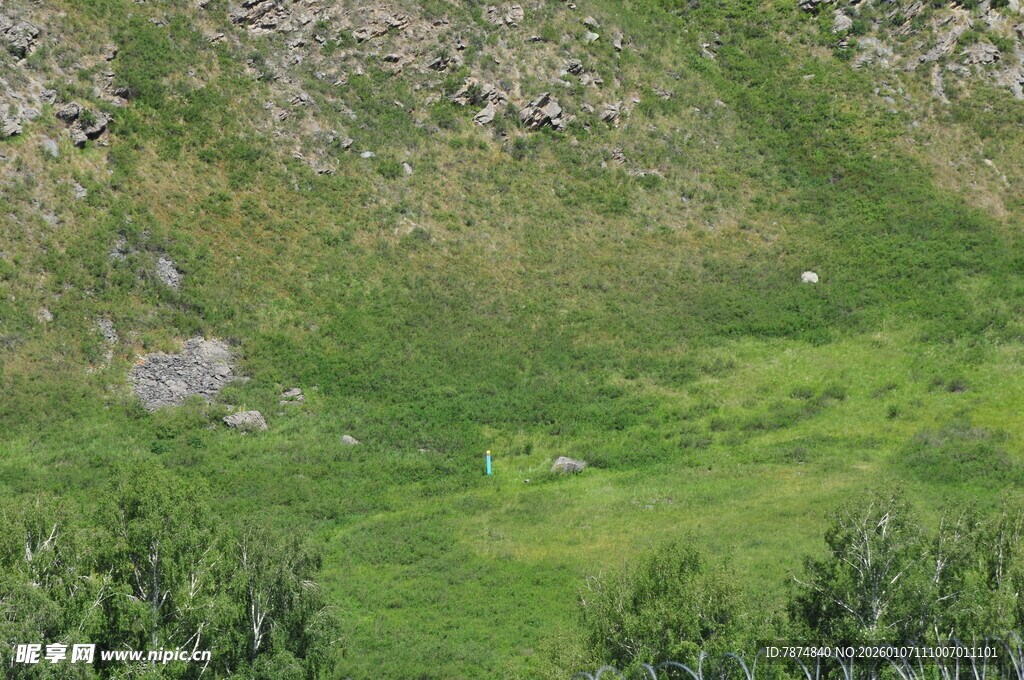 山间翠绿草地景观