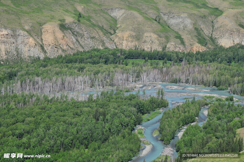 山谷间蜿蜒河流与葱郁森林