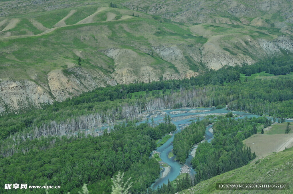 山间蜿蜒河流与葱郁植被