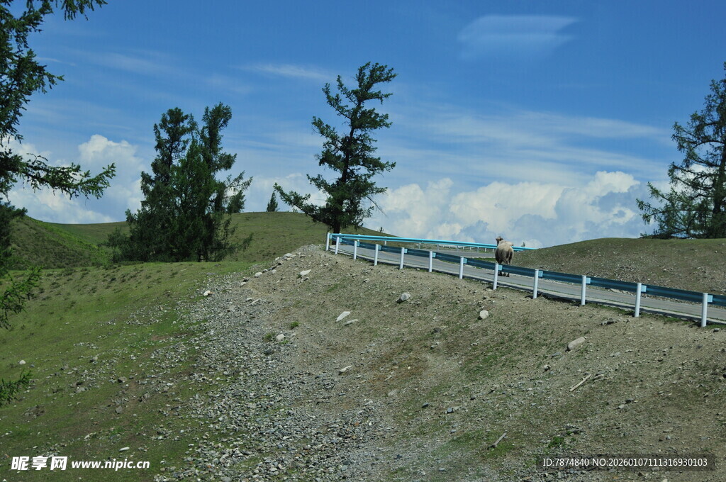 山间碎石路旁的护栏景观