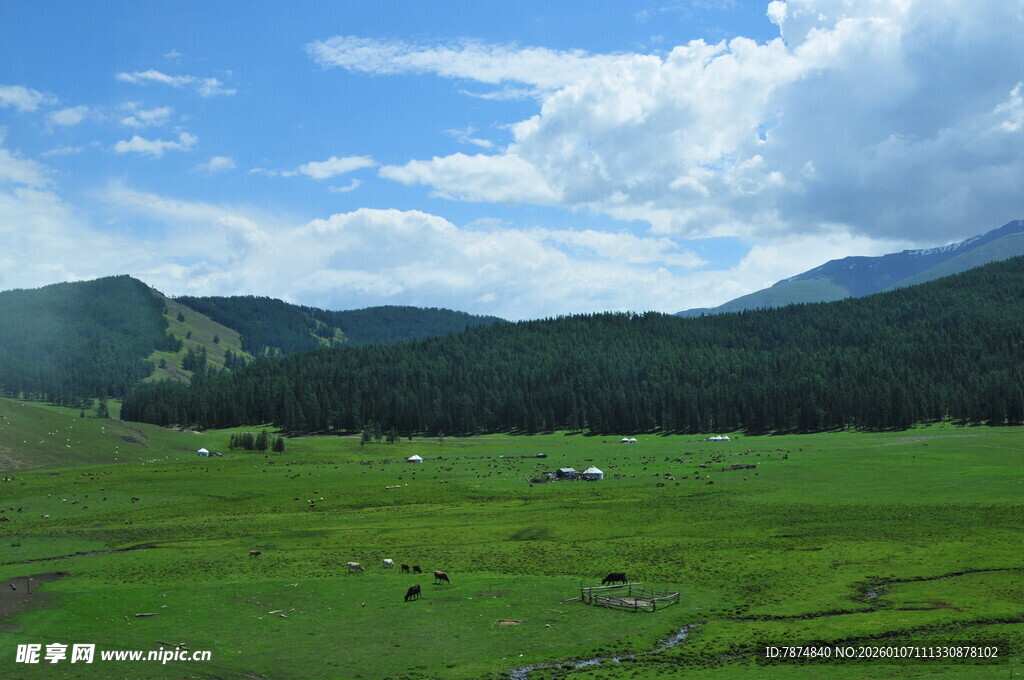 草原风光 远处山峦与蓝天
