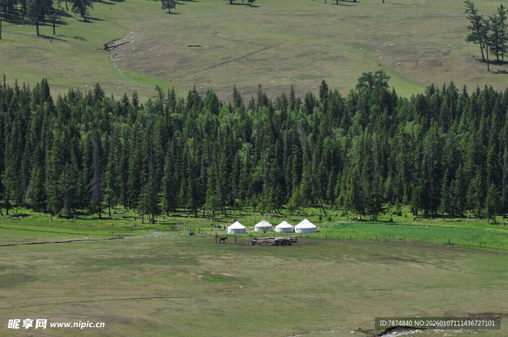 草原上的帐篷与茂密树林