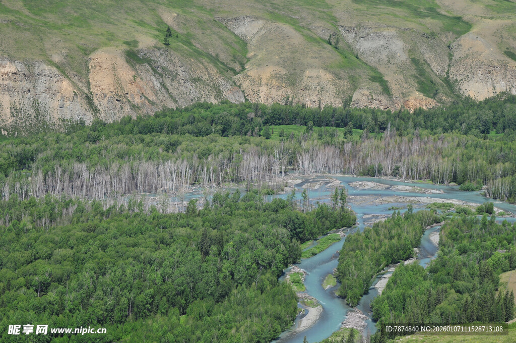 山间河流穿林而过美景