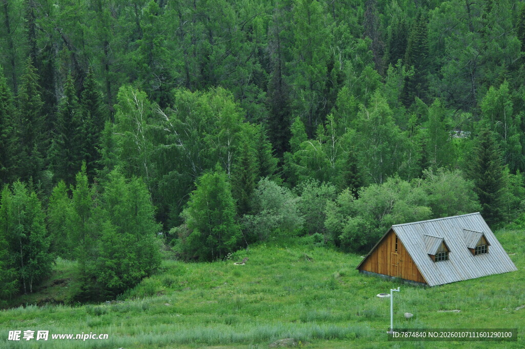 山林中的静谧小屋