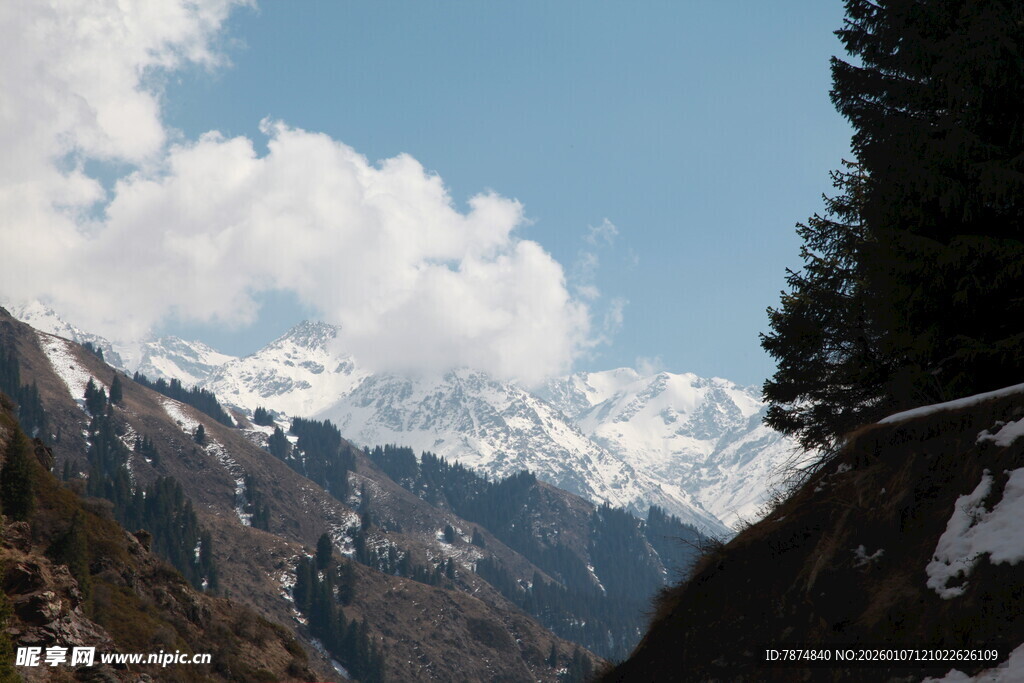 雪山景致 山林相伴