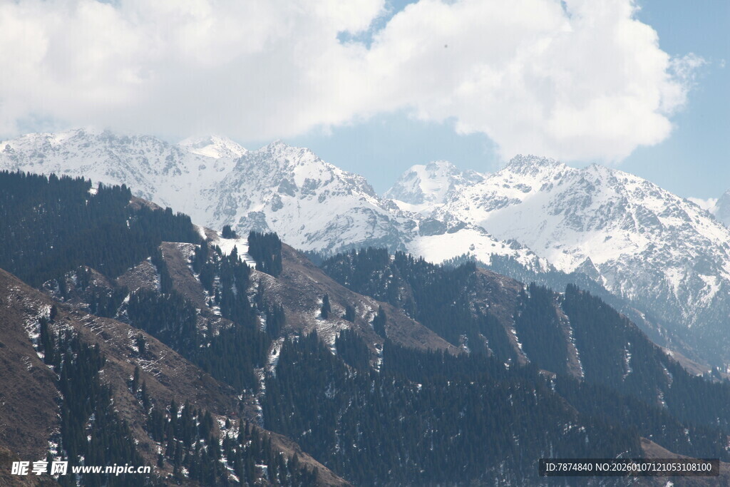 雪山森林壮丽自然景观