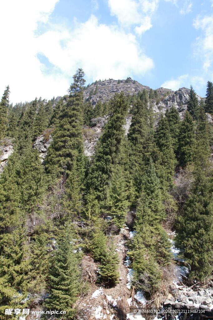 山林葱郁的自然景致