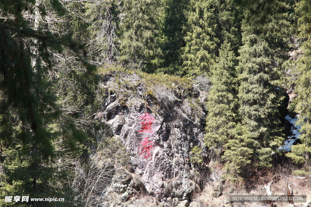 山林间红色标识醒目