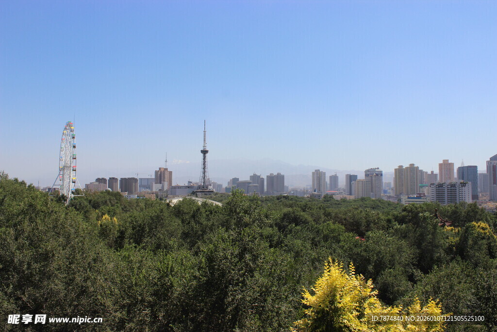 城市森林景观远眺