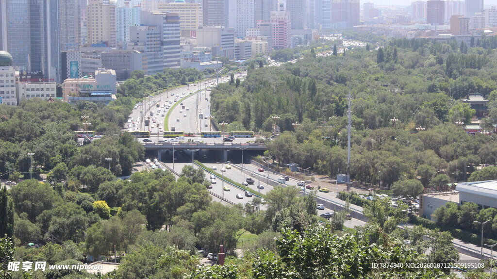 城市中穿行于绿树间的公路