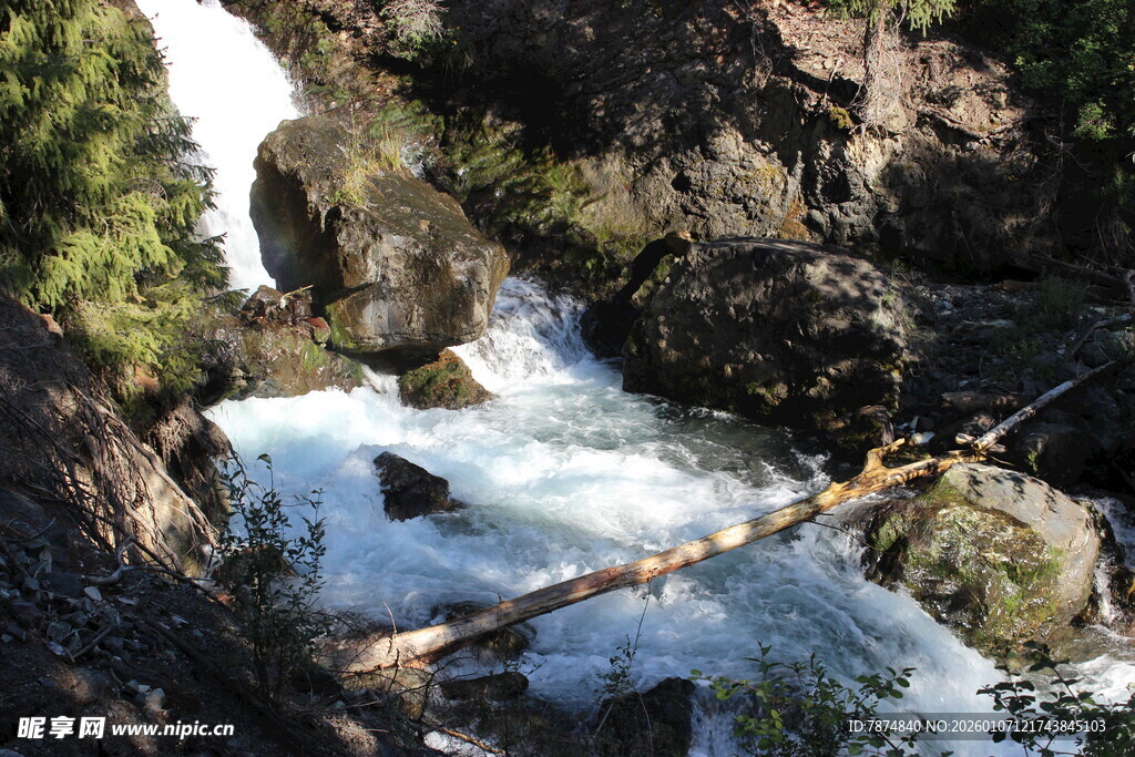 山间瀑布溪流与倒木景观