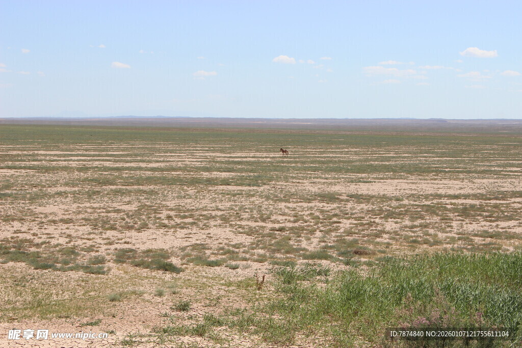 广袤荒漠草原景观