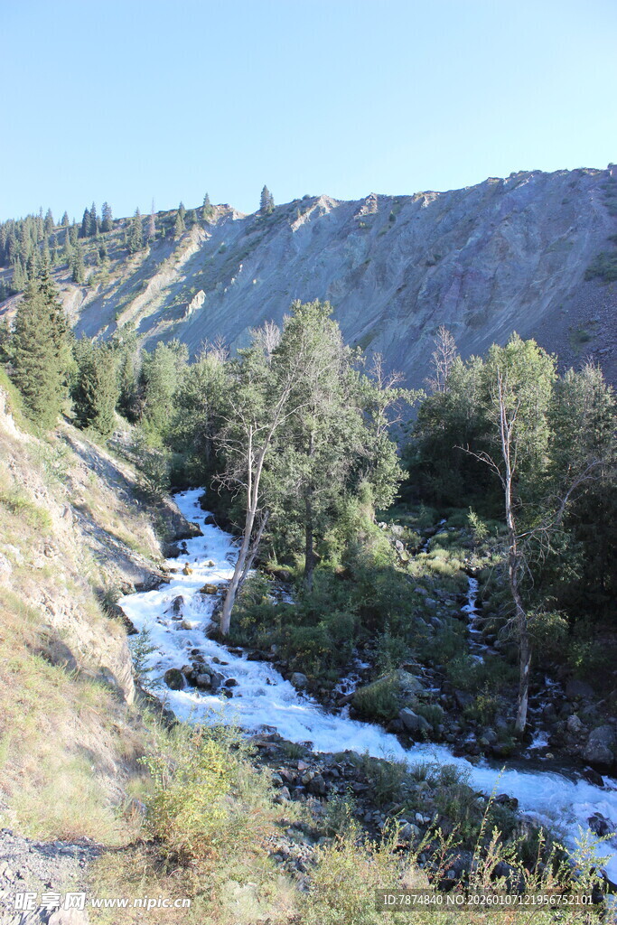 山间溪流旁的冬日景致
