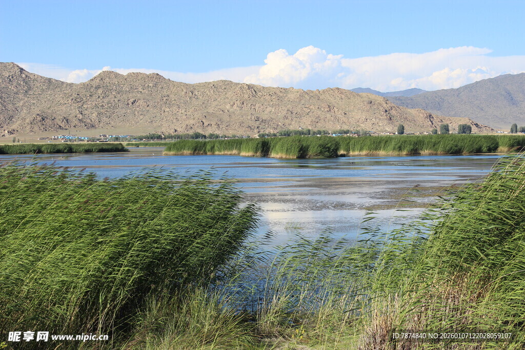 湖畔葱郁植被与远山美景