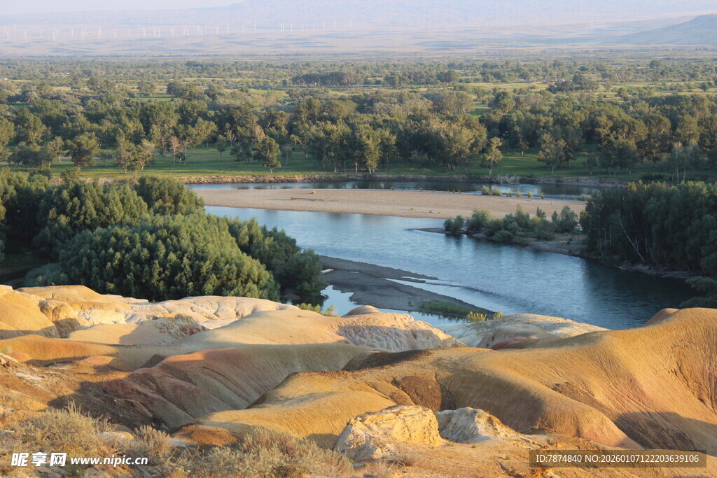 河畔沙堆与葱郁植被景观