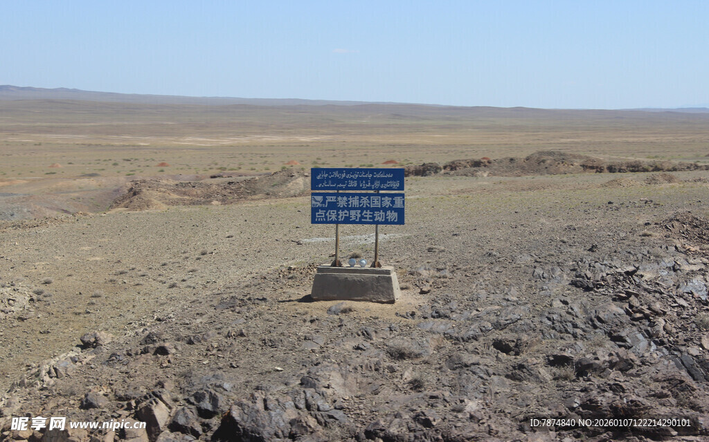 旷野中的蓝色指示牌