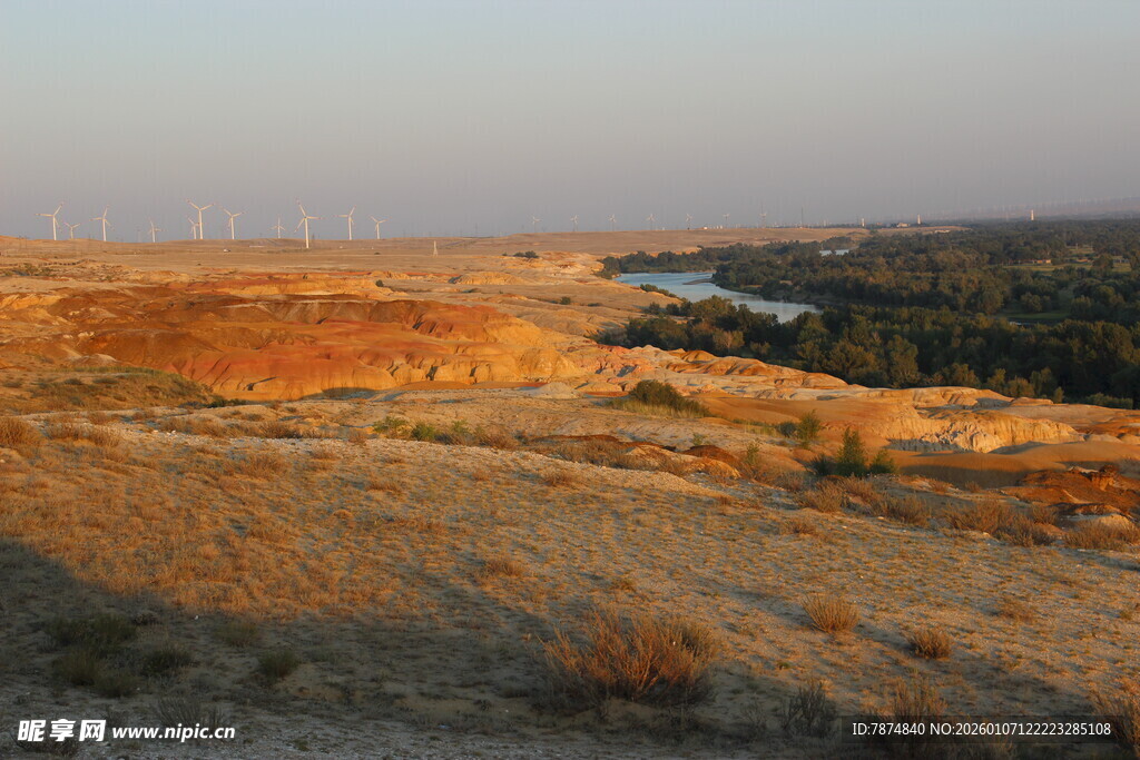 黄昏下的广袤荒野景观
