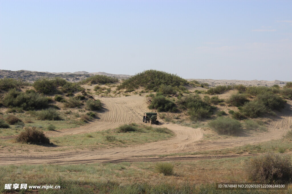 沙漠中的植被与蜿蜒小路