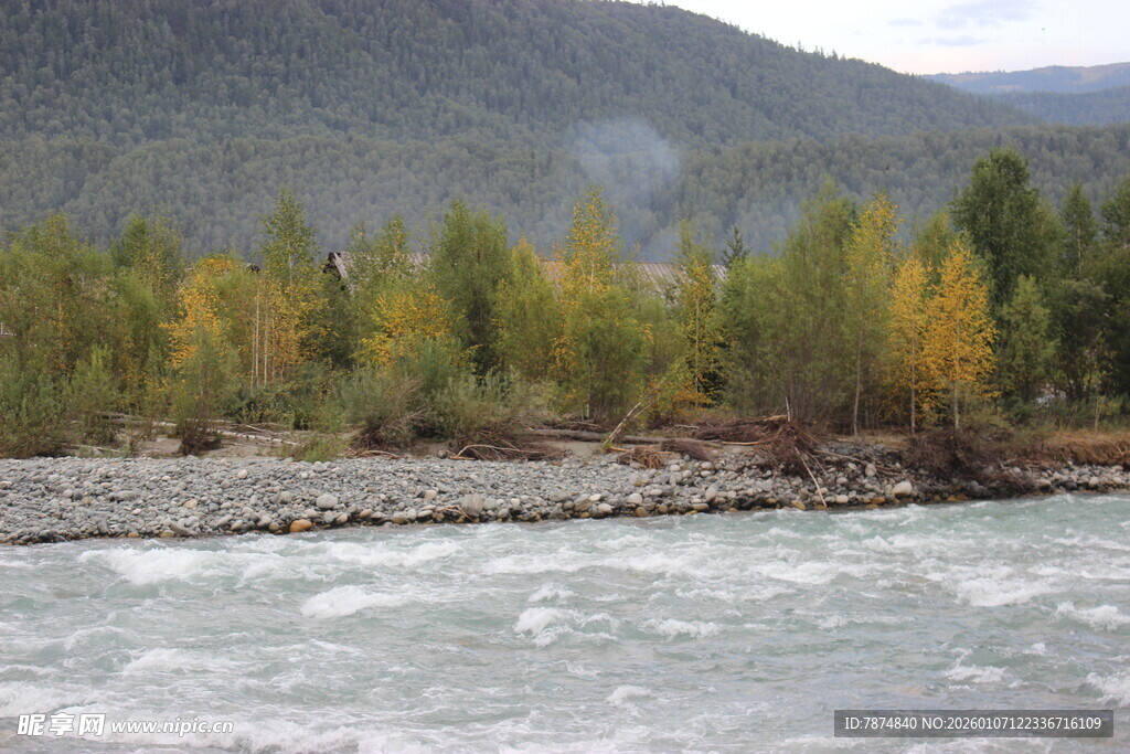 山间河流旁的多彩树林