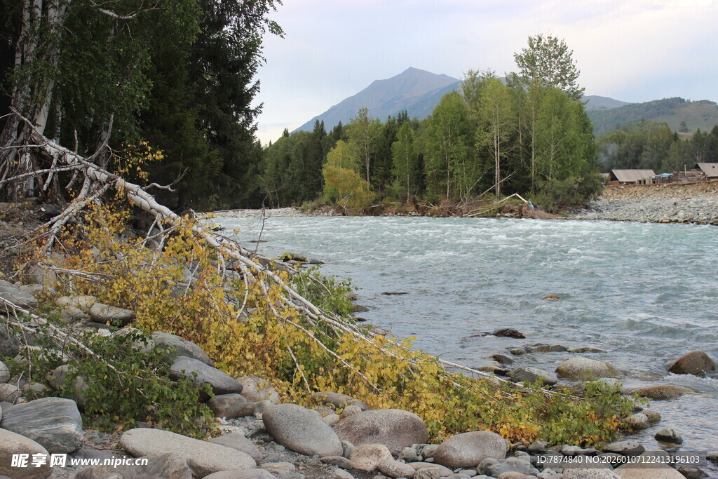 河畔秋景 自然静谧风光