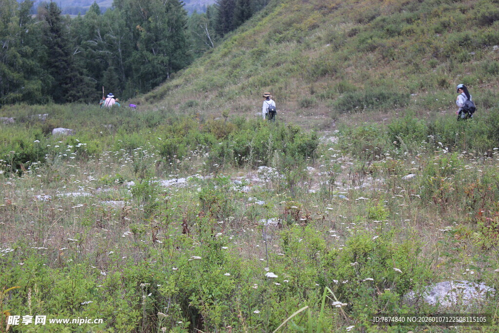 山间徒步者穿行于绿野