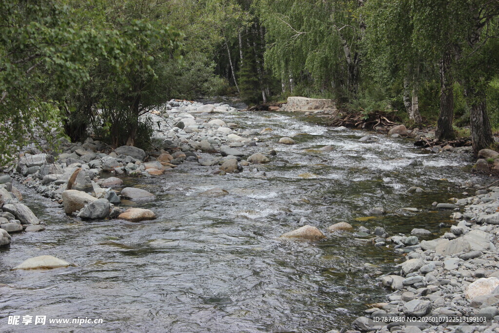 山间溪流潺潺 绿意环绕