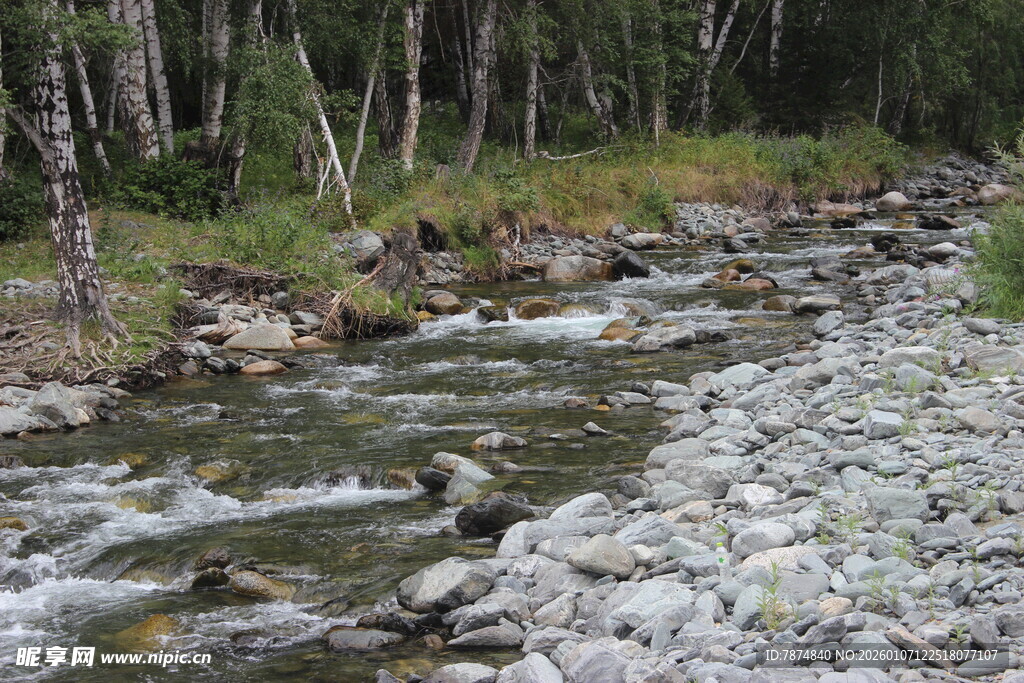 山间小溪潺潺流淌