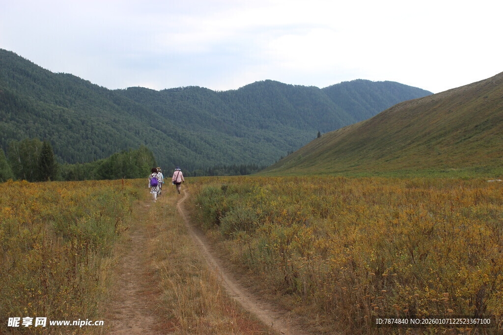 山间小径上的徒步旅行者