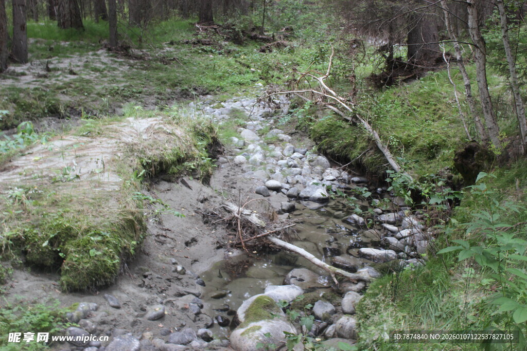 山间泥泞小径 自然景致