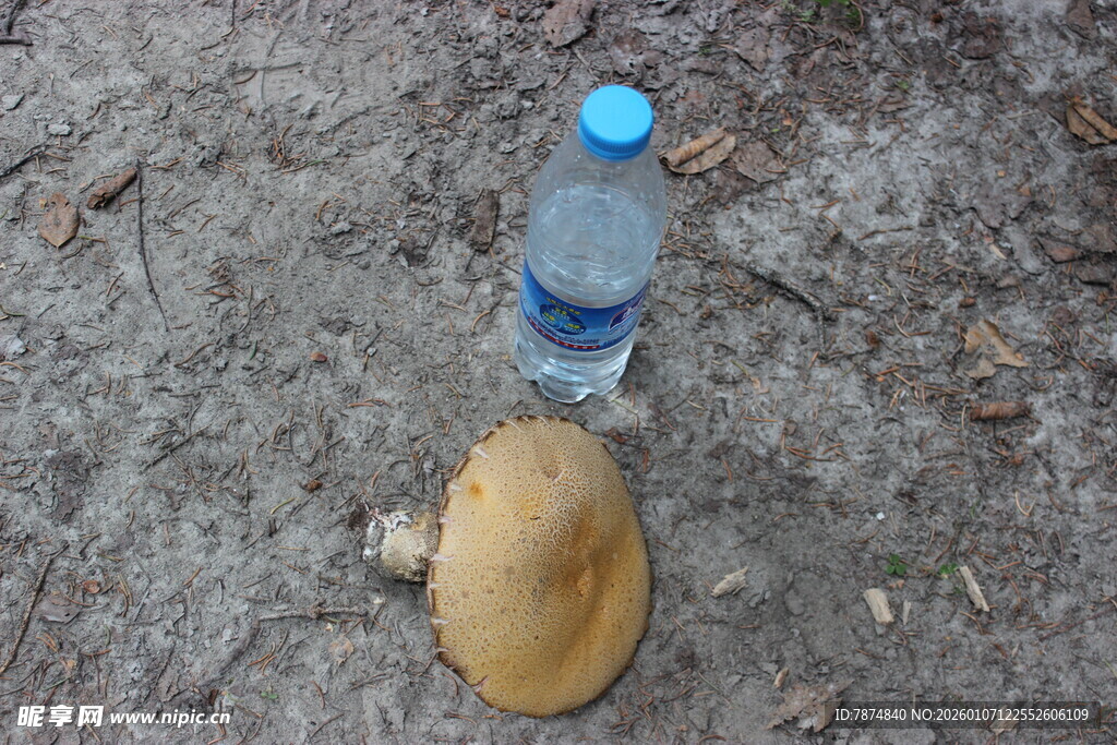 地上的水瓶与椰子