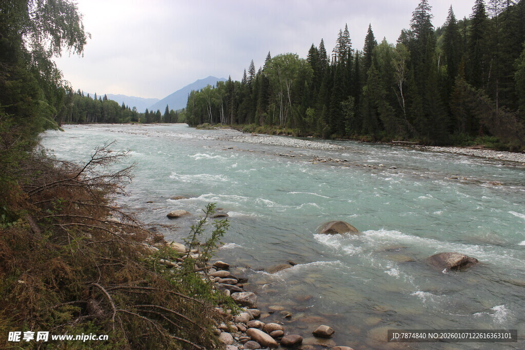 山间清澈河流与茂密树林