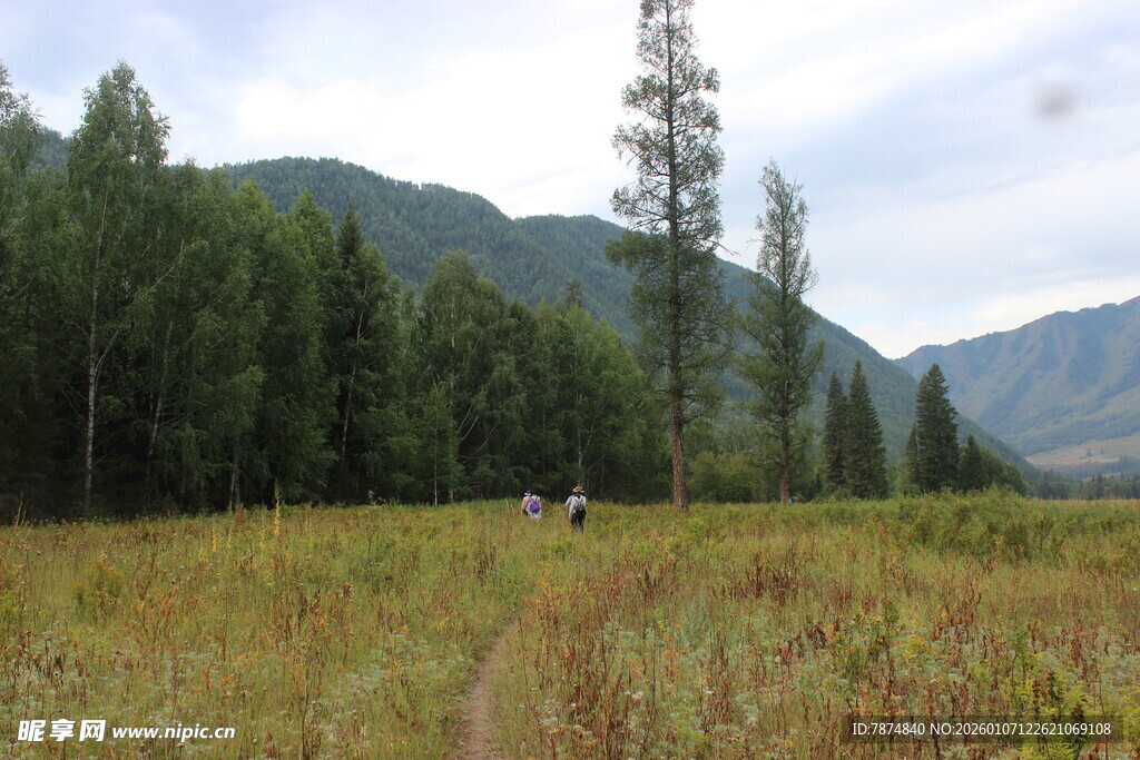 山林间的开阔草地