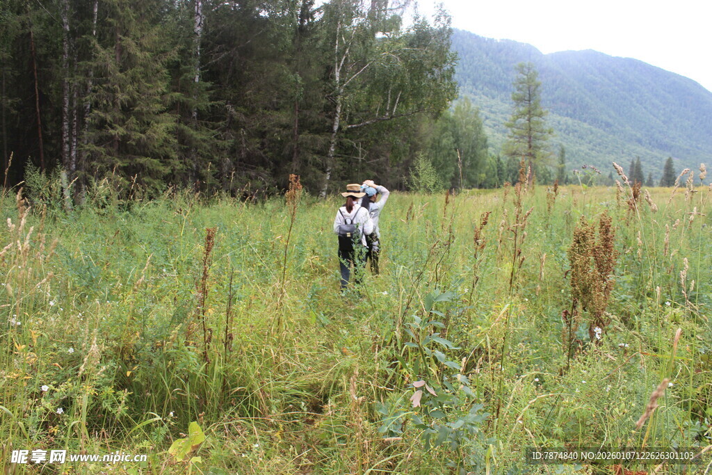人在野外草地间徒步